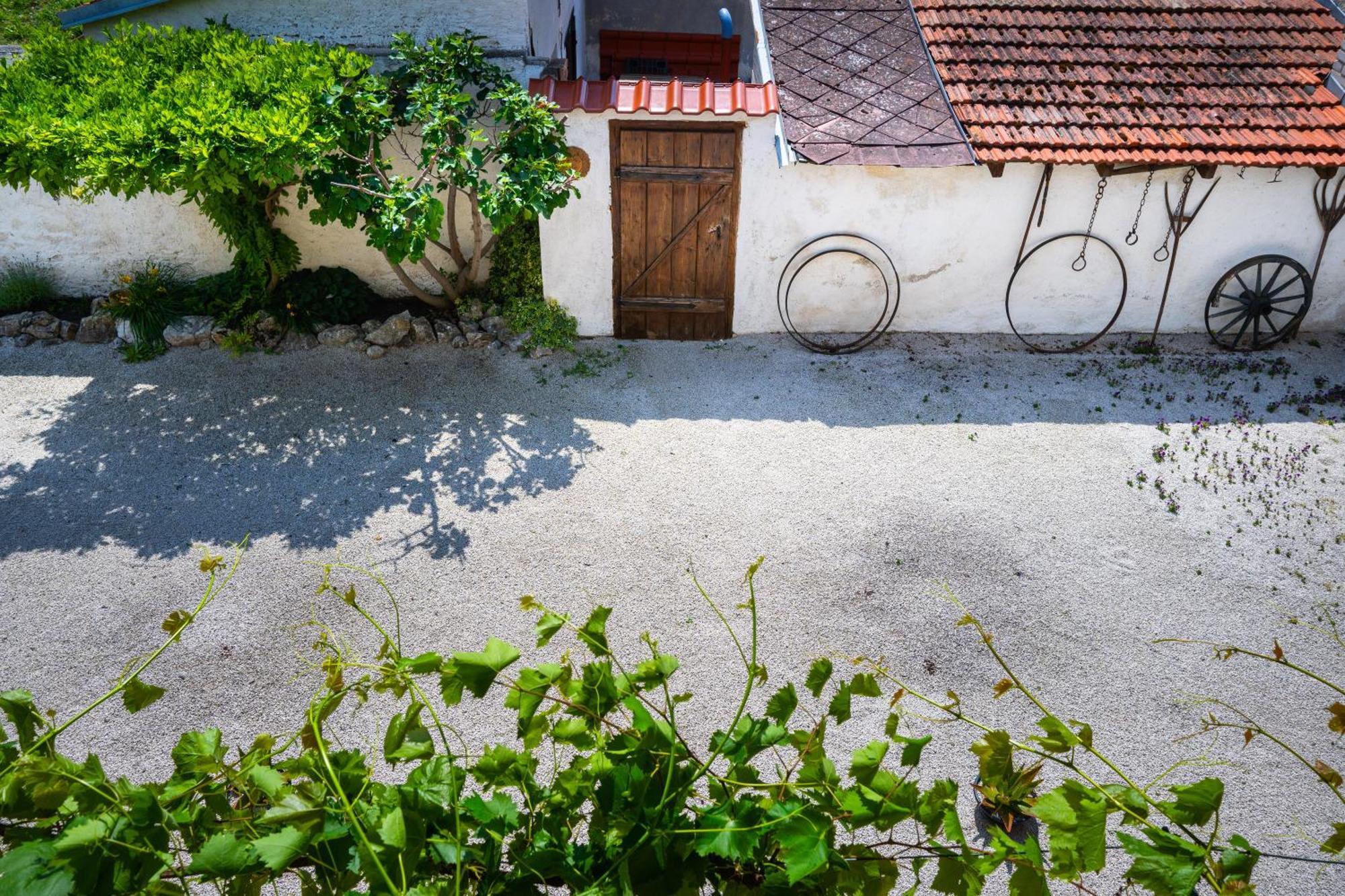 Ubytovani Kroupa Dolní Dunajovice Buitenkant foto
